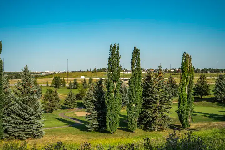 Maple Ridge community